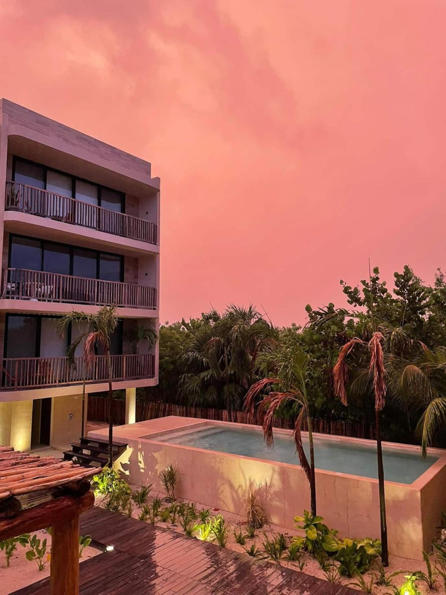 Ocean View Loft In Punta Cocos - C102 Ξενοδοχείο Isla Holbox Εξωτερικό φωτογραφία
