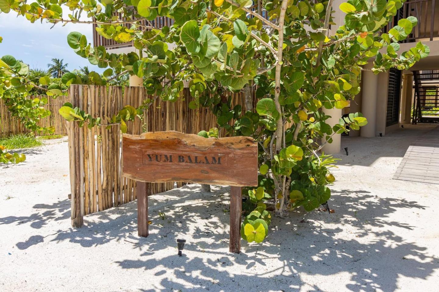 Ocean View Loft In Punta Cocos - C102 Ξενοδοχείο Isla Holbox Εξωτερικό φωτογραφία